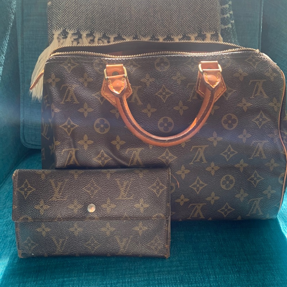 Louis Vuitton Vintage Purse and Wallet